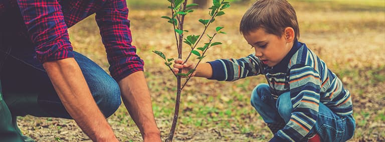 Father and young son planting a tree