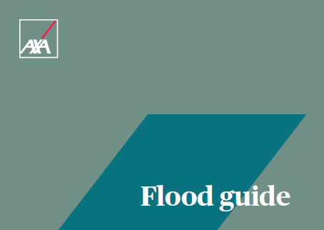 Flood guide